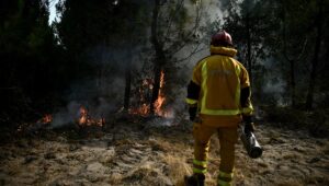 Fumadores, estudiantes, menores… ¿Quiénes son las 402 personas detenidas tras los incendios?