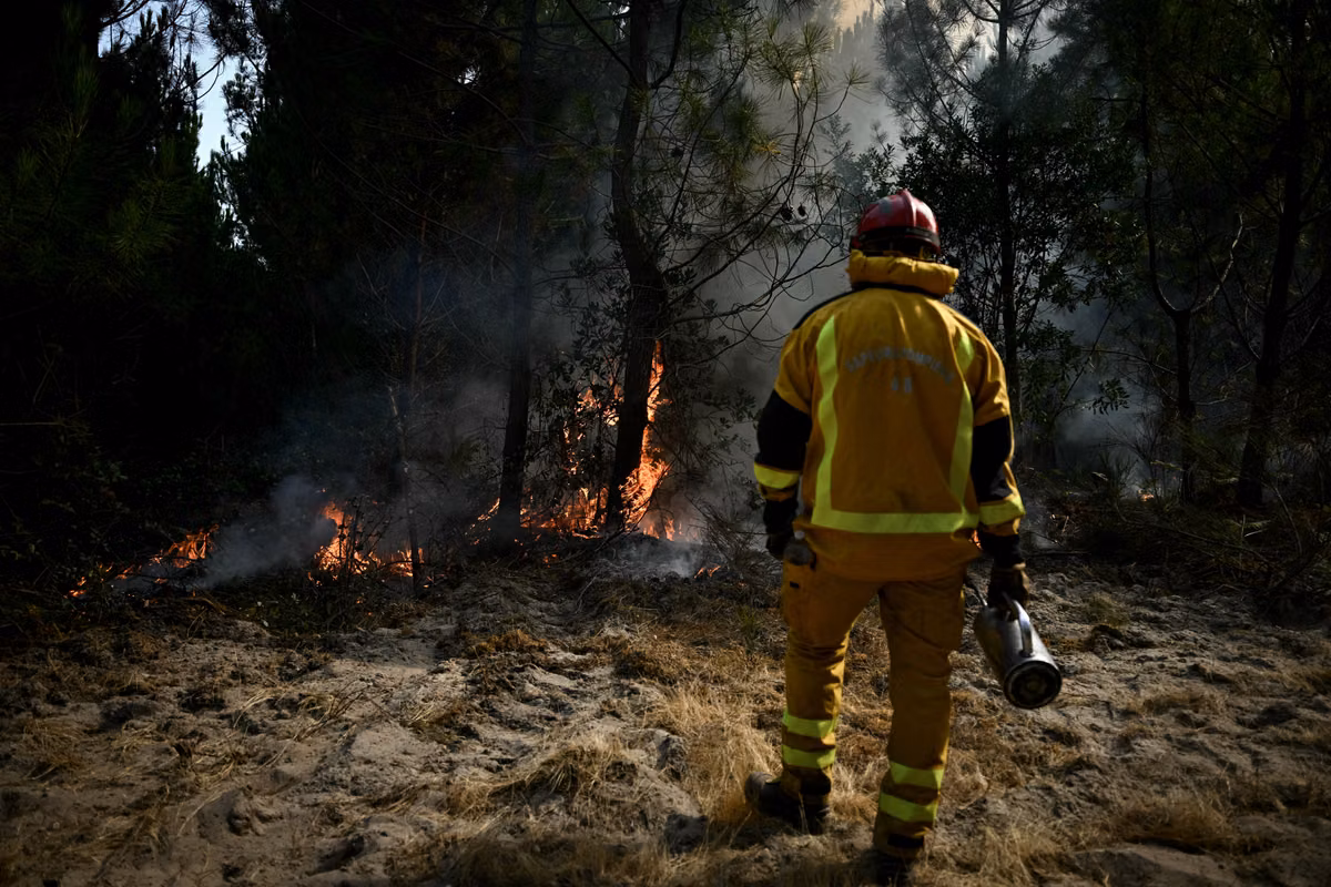 Fumadores, estudiantes, menores… ¿Quiénes son las 402 personas detenidas tras los incendios?