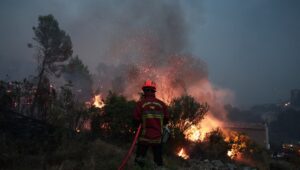 Incendios: el megaincendio en Gironda ya está “solucionado”, no se propaga en el Var