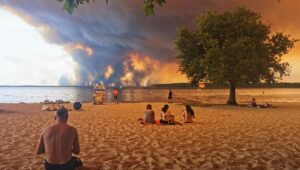 Pensando en el mundo después de las olas de calor y los incendios con la serie “Sweet Tooth” y la película “Animal Kingdom”
