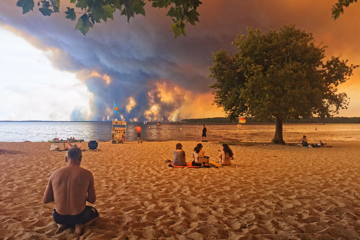 Pensando en el mundo después de las olas de calor y los incendios con la serie “Sweet Tooth” y la película “Animal Kingdom”