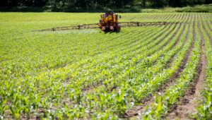 Cánceres, enfermedad de Parkinson… Por qué el Fondo de Compensación a las Víctimas de Pesticidas registró un número récord de solicitudes en 2025