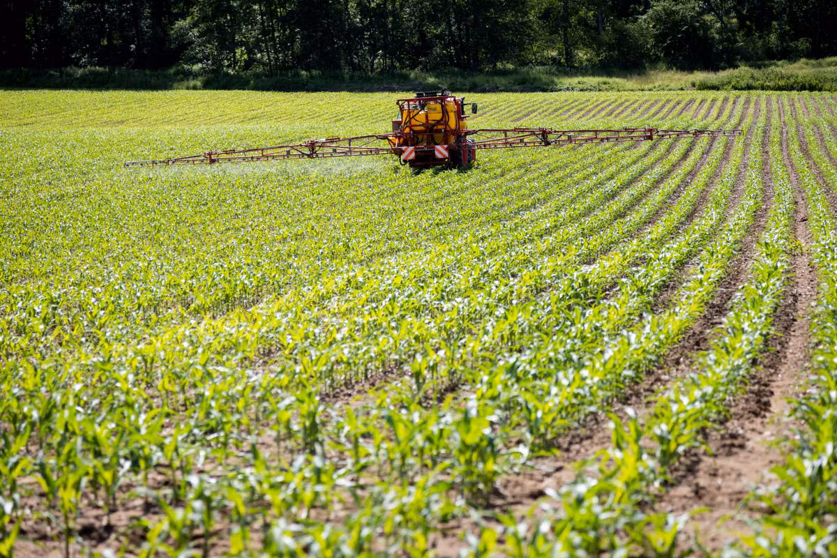 Cánceres, enfermedad de Parkinson... Por qué el Fondo de Compensación a las Víctimas de Pesticidas registró un número récord de solicitudes en 2025