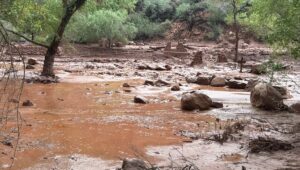 En el Gran Cañón, una inundación repentina deja al menos un muerto y una quincena de desaparecidos
