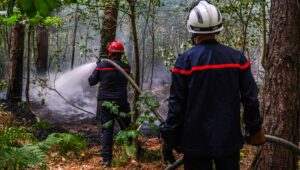 Organización de misiones, contrato territorial… Lo que el Gobierno anunciará a los bomberos este martes