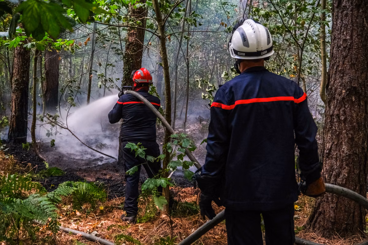 Organización de misiones, contrato territorial… Lo que el Gobierno anunciará a los bomberos este martes
