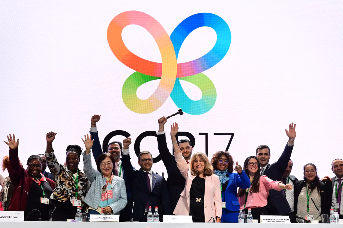 COP17 sobre la biodiversidad: textos adoptados, ministro decepcionado... Tres preguntas sobre esta reunión que acaba de finalizar