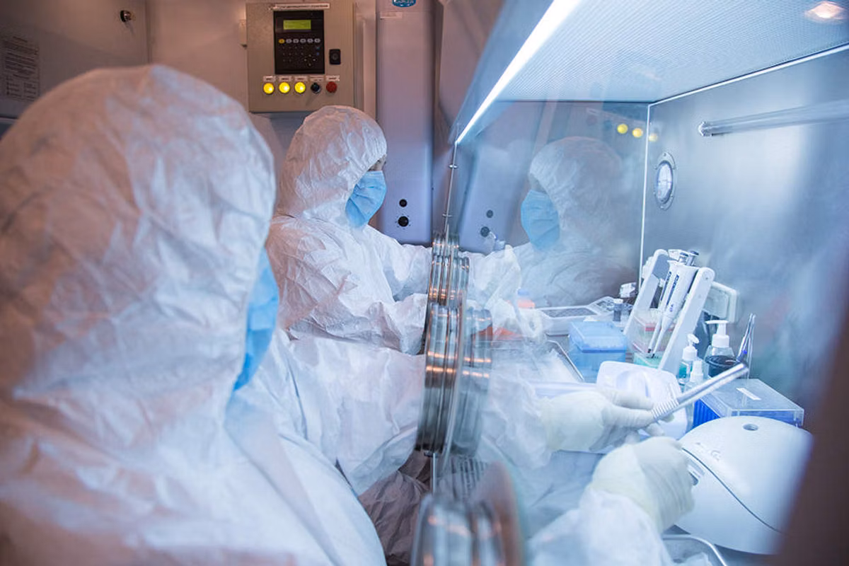 Sospecha de peste en Rusia: muerte de un trabajador de laboratorio, medidas sanitarias, ayuda estadounidense… Lo que sabemos